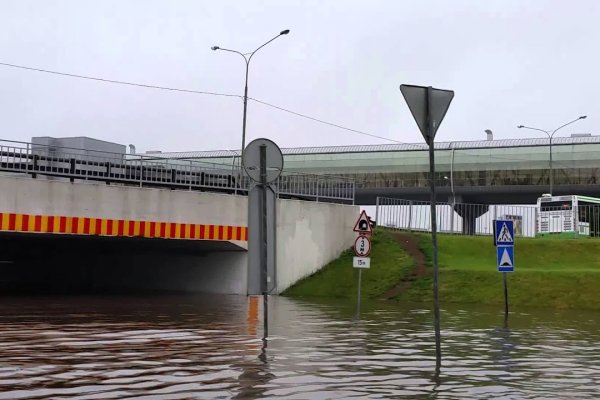 Кракен сайт ссылка тор браузере