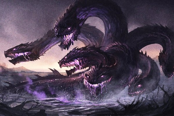 Kraken 12